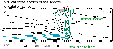 Sea-breeze circulation cross-section