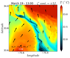 SST of a cold submesocale filament
